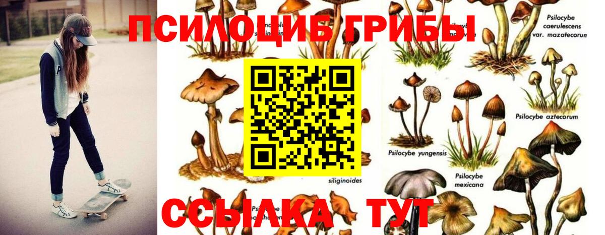Галлюциногенные грибы MAGIC MUSHROOMS  что такое   Омск  Вход с VPN 