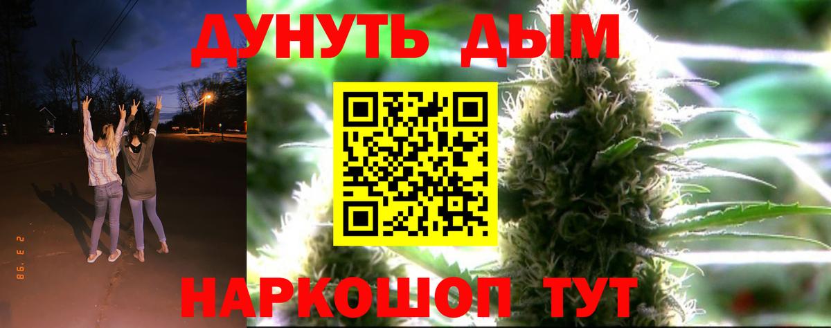 Конопля OG Kush Омск